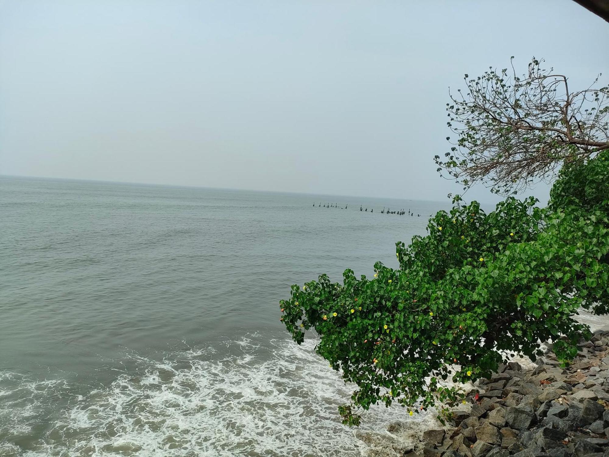 Homestay Coastal Den